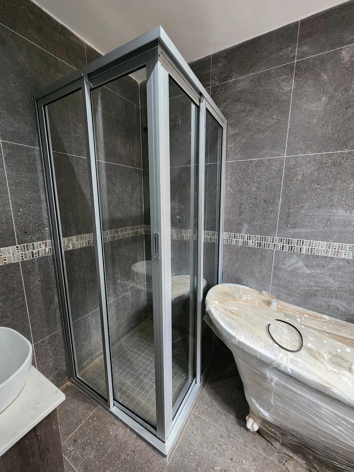big entrance shower glass